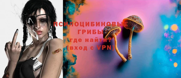 apvp Алексин